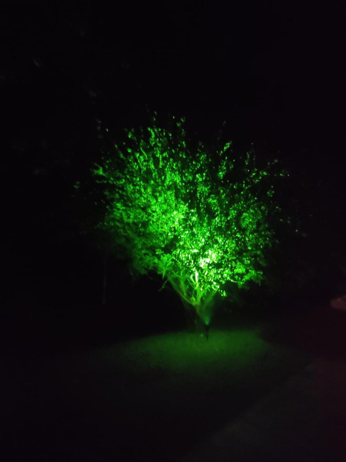 Chacara De Temporada - Mairipora Villa Bagian luar foto
